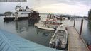 ./images/quadra/hbidock/20240728/hbidock20240728_151500M.jpg