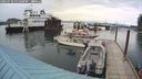 ./images/quadra/hbidock/20240728/hbidock20240728_151501M.jpg