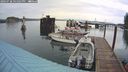 ./images/quadra/hbidock/20240728/hbidock20240728_161001M.jpg
