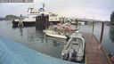 ./images/quadra/hbidock/20240728/hbidock20240728_170001M.jpg