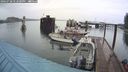 ./images/quadra/hbidock/20240728/hbidock20240728_172500M.jpg