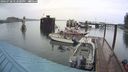 ./images/quadra/hbidock/20240728/hbidock20240728_172501M.jpg