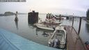 ./images/quadra/hbidock/20240728/hbidock20240728_182002M.jpg