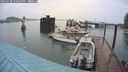 ./images/quadra/hbidock/20240728/hbidock20240728_190501M.jpg