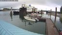 ./images/quadra/hbidock/20240729/hbidock20240729_100502M.jpg