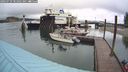 ./images/quadra/hbidock/20240729/hbidock20240729_101002M.jpg