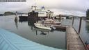 ./images/quadra/hbidock/20240729/hbidock20240729_115000M.jpg
