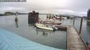./images/quadra/hbidock/20240729/hbidock20240729_121001M.jpg