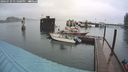 ./images/quadra/hbidock/20240729/hbidock20240729_131000M.jpg