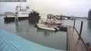 ./images/quadra/hbidock/20240729/hbidock20240729_132501M.jpg