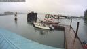 ./images/quadra/hbidock/20240729/hbidock20240729_143000M.jpg