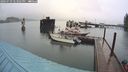 ./images/quadra/hbidock/20240729/hbidock20240729_143501M.jpg