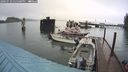 ./images/quadra/hbidock/20240729/hbidock20240729_155501M.jpg