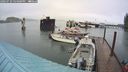 ./images/quadra/hbidock/20240729/hbidock20240729_164000M.jpg
