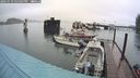 ./images/quadra/hbidock/20240729/hbidock20240729_165002M.jpg