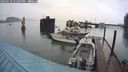 ./images/quadra/hbidock/20240729/hbidock20240729_172002M.jpg