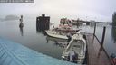 ./images/quadra/hbidock/20240729/hbidock20240729_181001M.jpg