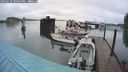 ./images/quadra/hbidock/20240729/hbidock20240729_200501M.jpg