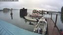 ./images/quadra/hbidock/20240729/hbidock20240729_202502M.jpg