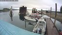 ./images/quadra/hbidock/20240730/hbidock20240730_074001M.jpg