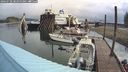 ./images/quadra/hbidock/20240730/hbidock20240730_083000M.jpg