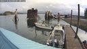 ./images/quadra/hbidock/20240730/hbidock20240730_084001M.jpg