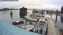 ./images/quadra/hbidock/20240730/hbidock20240730_121500M.jpg