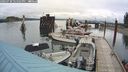 ./images/quadra/hbidock/20240730/hbidock20240730_121501M.jpg