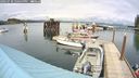 ./images/quadra/hbidock/20240730/hbidock20240730_150500M.jpg