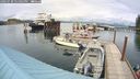 ./images/quadra/hbidock/20240730/hbidock20240730_151002M.jpg