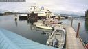 ./images/quadra/hbidock/20240730/hbidock20240730_152000M.jpg