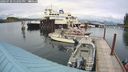 ./images/quadra/hbidock/20240730/hbidock20240730_152502M.jpg