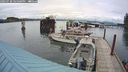 ./images/quadra/hbidock/20240730/hbidock20240730_165001M.jpg