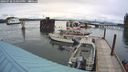 ./images/quadra/hbidock/20240730/hbidock20240730_171000M.jpg
