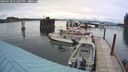 ./images/quadra/hbidock/20240730/hbidock20240730_172001M.jpg