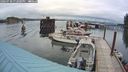 ./images/quadra/hbidock/20240730/hbidock20240730_192001M.jpg