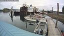 ./images/quadra/hbidock/20240731/hbidock20240731_081501M.jpg
