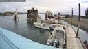 ./images/quadra/hbidock/20240731/hbidock20240731_101501M.jpg