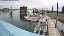 ./images/quadra/hbidock/20240731/hbidock20240731_102502M.jpg