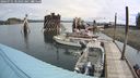 ./images/quadra/hbidock/20240731/hbidock20240731_103501M.jpg
