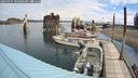 ./images/quadra/hbidock/20240731/hbidock20240731_104501M.jpg