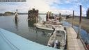 ./images/quadra/hbidock/20240731/hbidock20240731_105501M.jpg