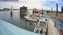 ./images/quadra/hbidock/20240731/hbidock20240731_110001M.jpg