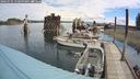 ./images/quadra/hbidock/20240731/hbidock20240731_110500M.jpg