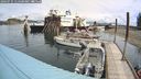 ./images/quadra/hbidock/20240731/hbidock20240731_114501M.jpg