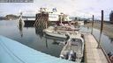./images/quadra/hbidock/20240731/hbidock20240731_115000M.jpg