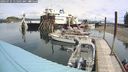 ./images/quadra/hbidock/20240731/hbidock20240731_115001M.jpg