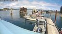 ./images/quadra/hbidock/20240731/hbidock20240731_131502M.jpg