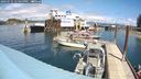 ./images/quadra/hbidock/20240731/hbidock20240731_133500M.jpg