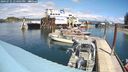 ./images/quadra/hbidock/20240731/hbidock20240731_134001M.jpg